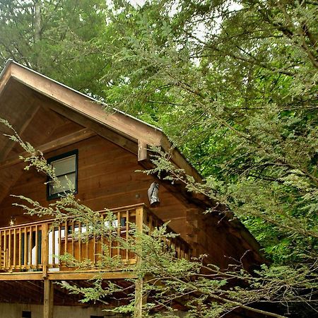 Villa Wild Thing #1525 à Gatlinburg Extérieur photo